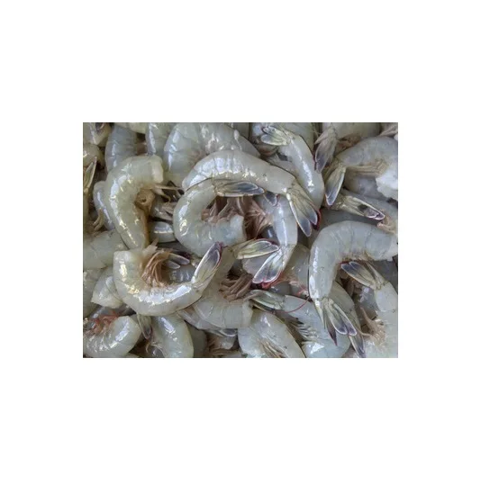 Оптовый запас замороженных креветок (морепродуктов) по лучшей оптовой