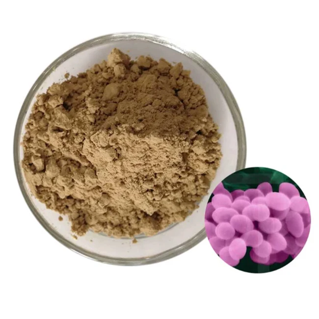 Лидер продаж, пробиотик Bacillus Subtilis по рыночной цене, купите по оптовой цене-Zealmax Biopharma