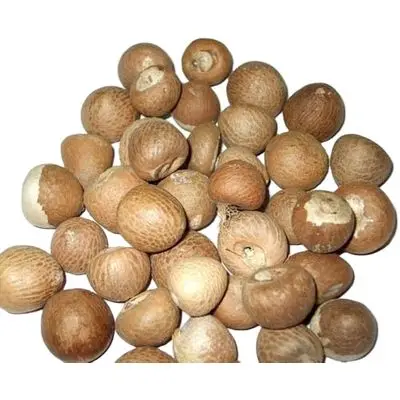 4398940.jpg