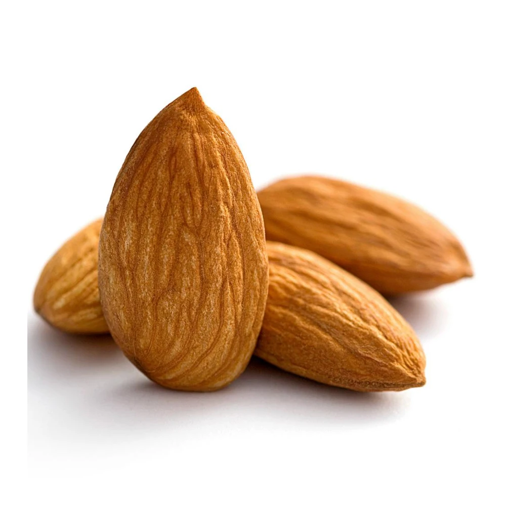 Almond Nuts Export 100% Natural Almond Top Quality Raw Almonds Nuts