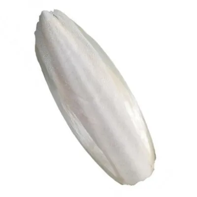 
Wholesale High Calcium Cuttlefish Bone For Pet Feed 