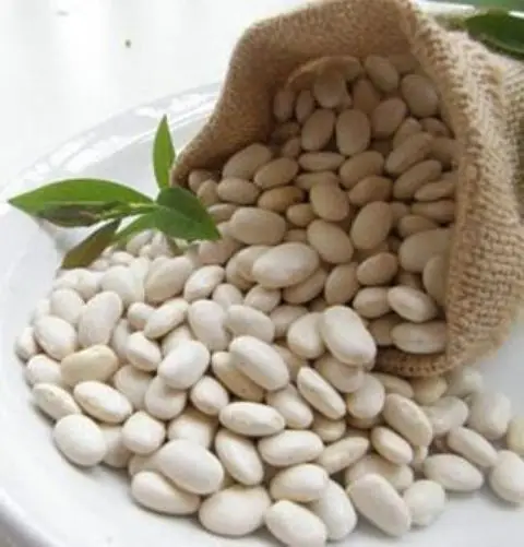 WHITE KIDNEY BEANS / BUTTER BEAN / WHITE BEAN