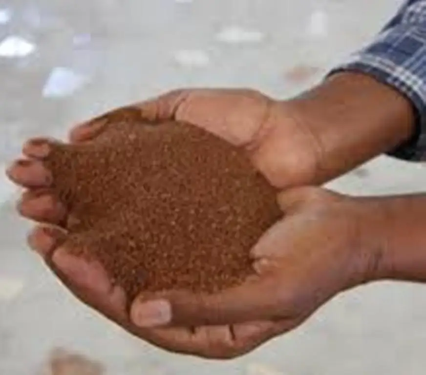 Органическое зерно Teff в пакетах 25 кг