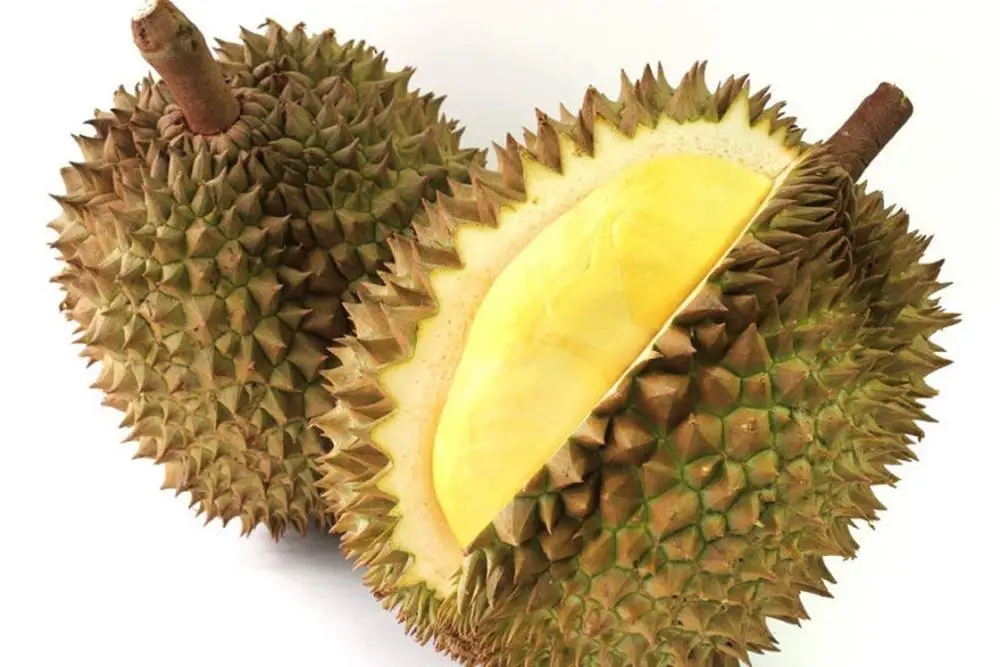 Оптовая цена-Премиум IQF MONTHONG/ RI6 DURIAN урожай из Вьетнама/мисс Триш + 84 984 696 874