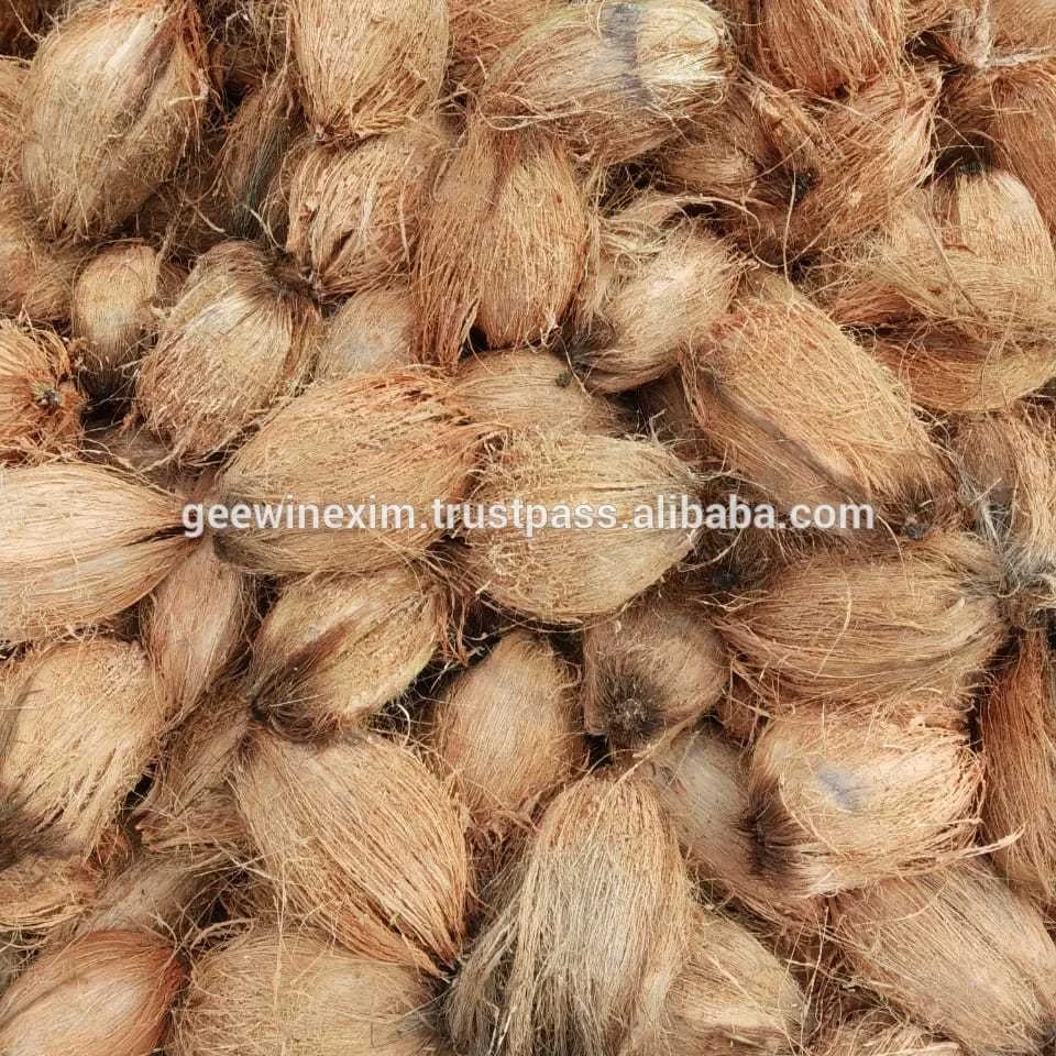  FRESH INDIAN SEMI HUSKED COCONUT FROM INDIA