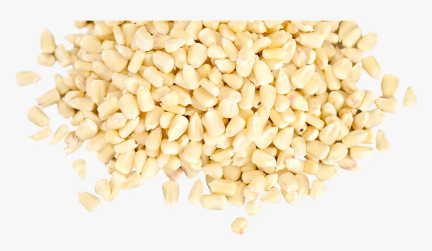Wholesale price frozen corn whole kernels white corn
