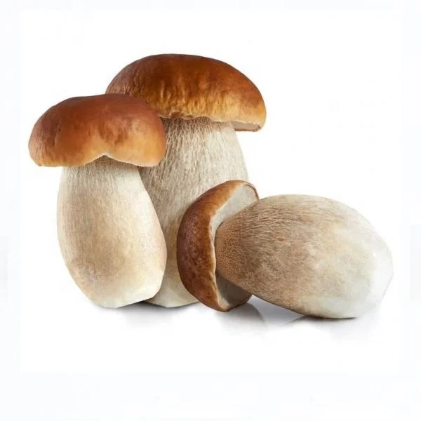 
Frozen Porcini Mushroom 