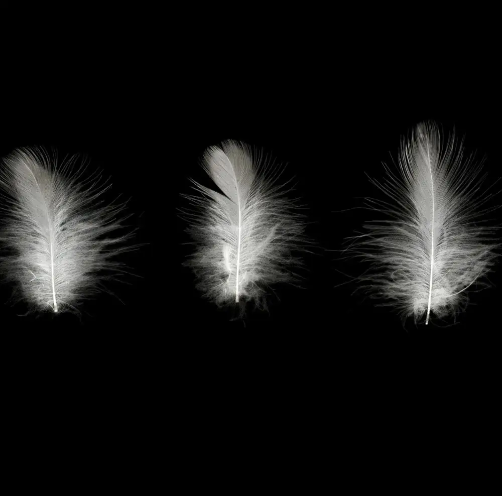 Washed grey duck down feather 2-8 cm for quilt,  pillow made in Vietnam