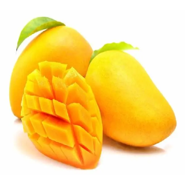 Best Healthy Fresh Alphonso Mango Fruit Premium Quality Ready Supply/Where To Buy Fresh Golden Mango Fruit 10 kg