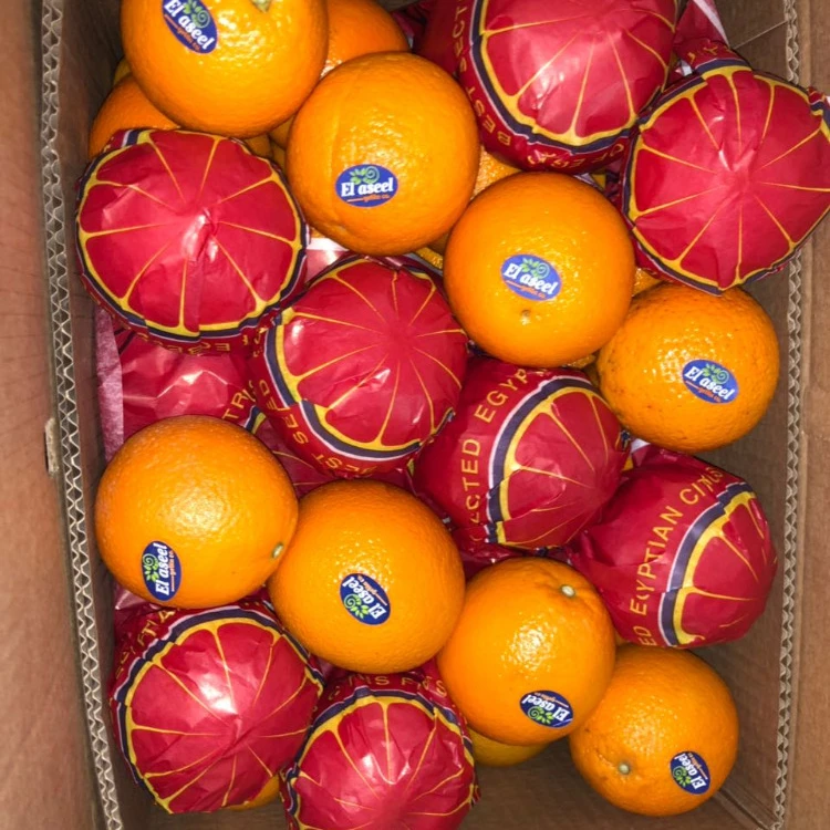 Свежие фрукты, красная кровь, свежий апельсин, Южная Африка, Сицилия, тарокоо