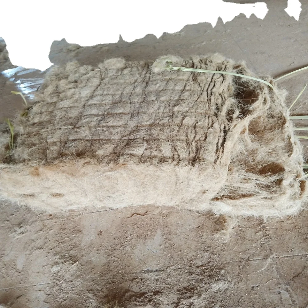 Wholesales Export Coconut Fiber 100% Natural for mattress production Premium quality Brownish yellow made in Viet Nam