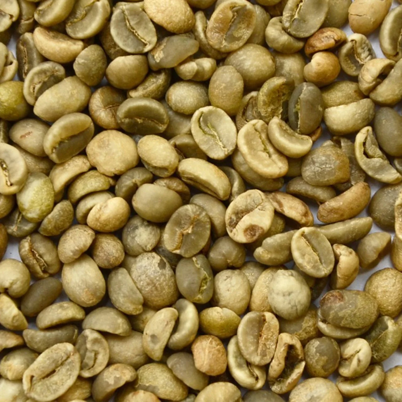  Оптовая продажа кофейные зерна зеленые эспрессо еда напиток