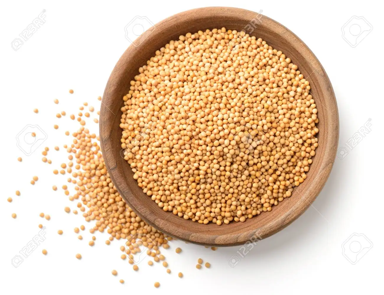 Superior Quality 100% Pure and Natural Yellow Mustard Seeds at Wholesale Price Manufactured from India