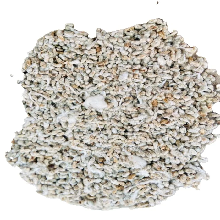 cotton seed with High Quality from Benin West Africa with High Value Whole Cotton Seed White Clean Hulled Seeds NO Hybrid 25kg