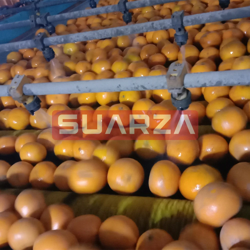 Пакистанский продукт пакистанский свежий мандарин