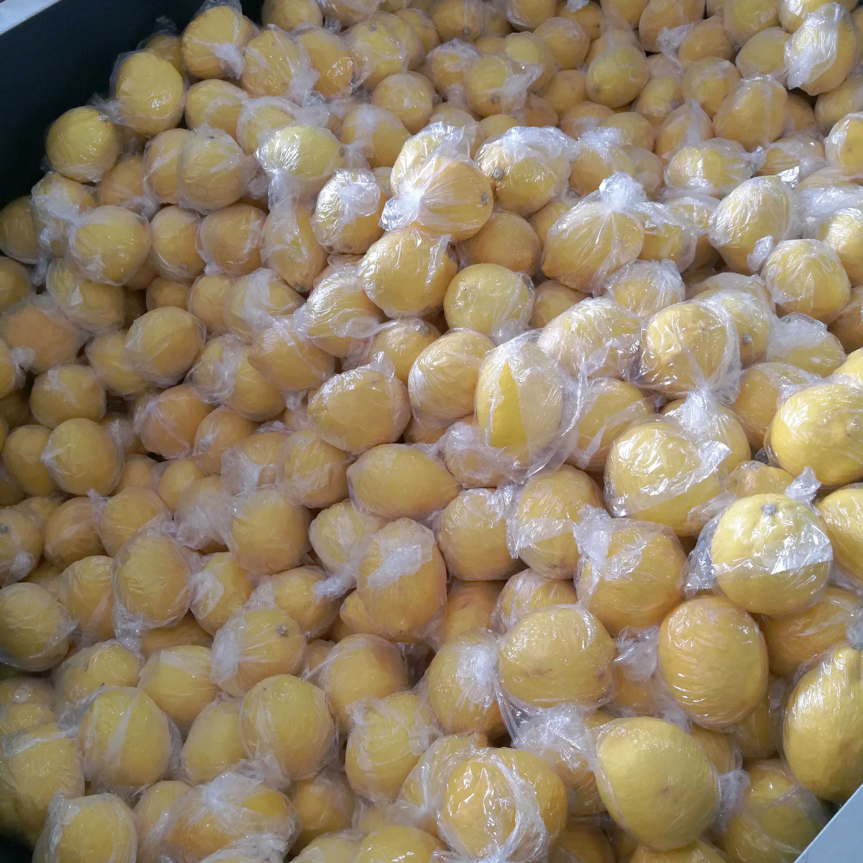 Fresh Lemon Fresh Citrus Fruit