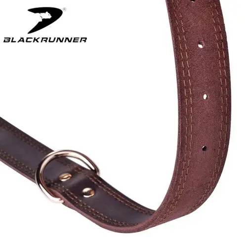 Elegant Leather Dog Collar
