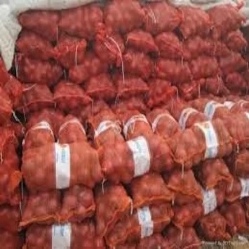 
Fresh Onion Red onion / Gold onion , High quality best price 