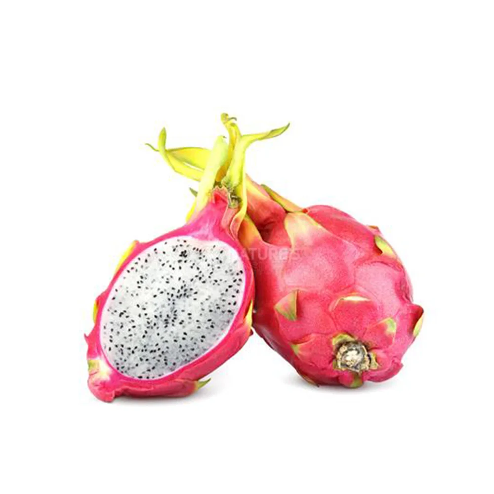 FRESH DRAGON FRUIT IS SOLD TO TRADER IN INDIA +84 348130861