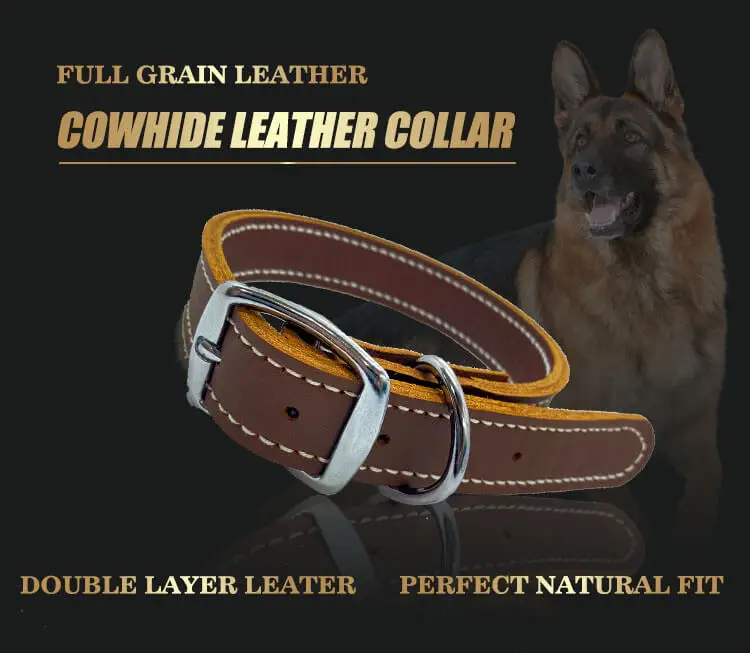 double layer dog collar 