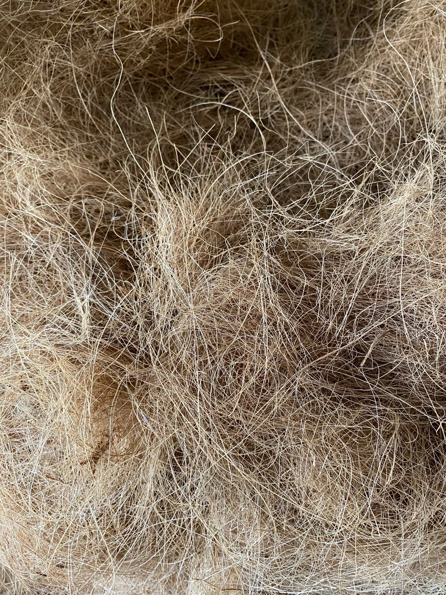  Лучший поставщик кокосовых волокон кокосовые волоконные тюки/Жасмин + 84 896679047