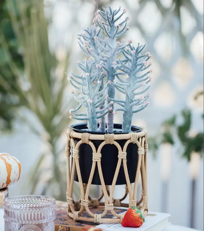 High Quality Natural Rattan Indoor Plant Stand Flower Pot Holder Bohemian Gardening Planter For Home decor