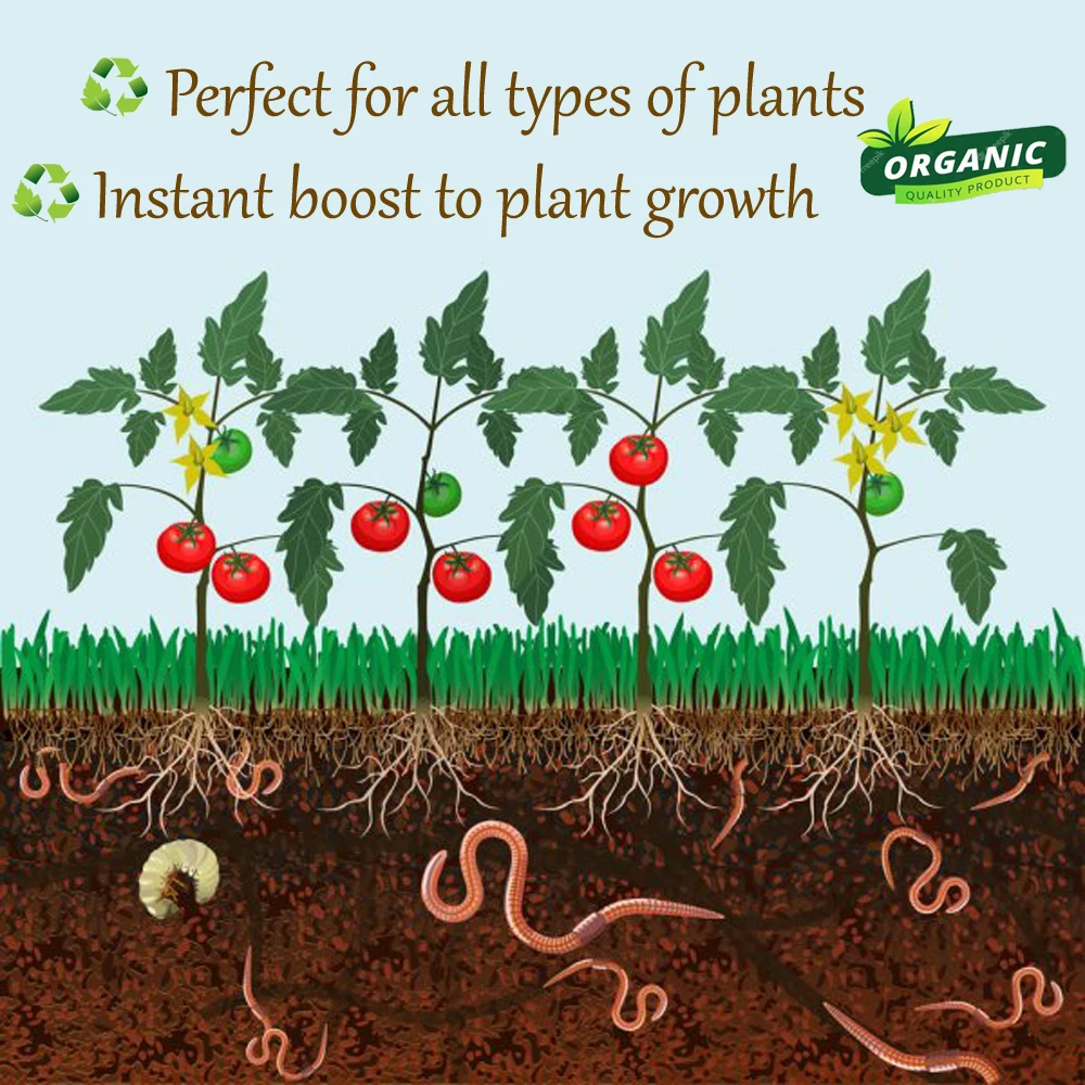 Vermicompost Fertilizer is excreta of earthworms and other bio-organic materials humus and nutrients developed from process