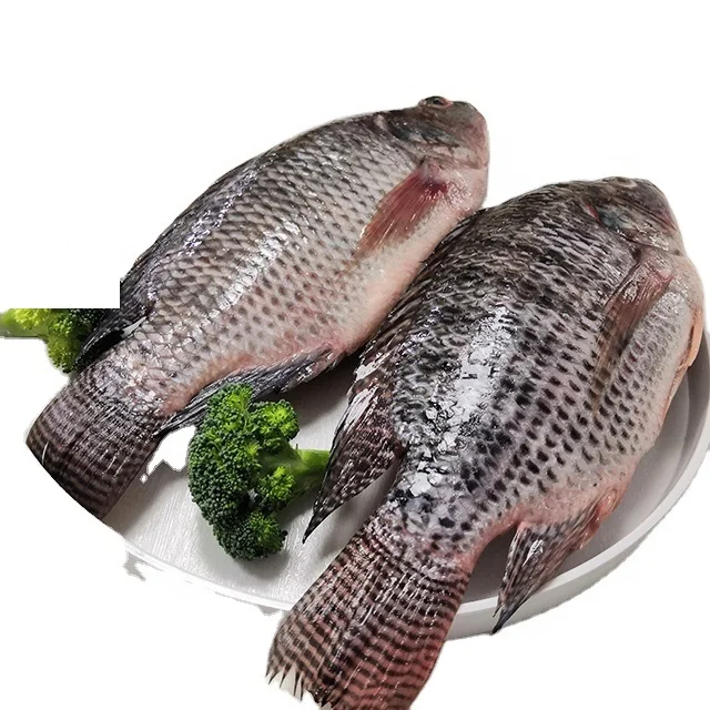 Черная Тилапия рыба замороженная