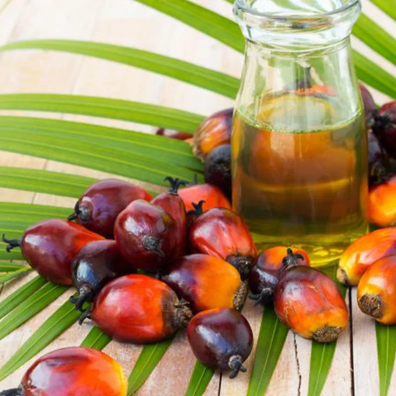 palm-oil (1).jpg