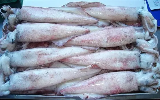 Оптовая продажа лучшее качество морепродуктов полностью Натуральный Очищенный замороженный