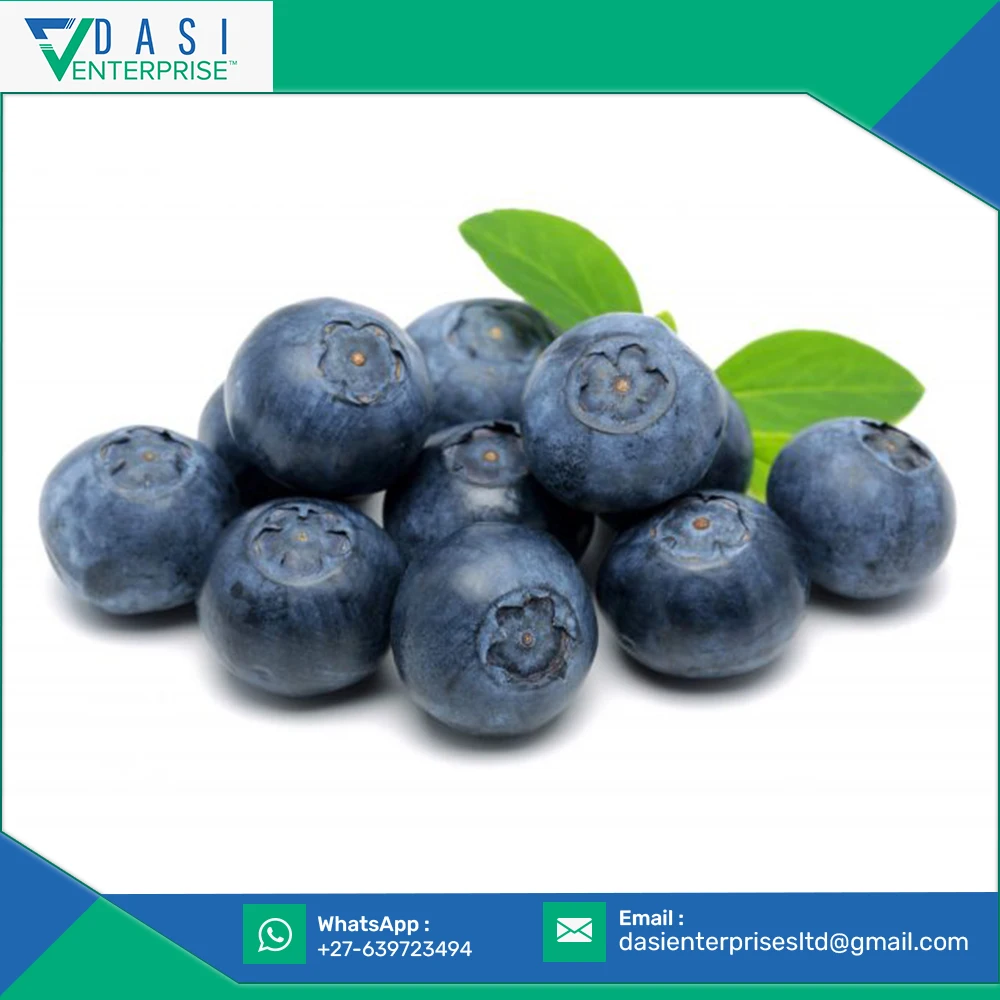  Original Manufactured Best Price Healthy Fresh Small Sized Blueberries Available At Low Market