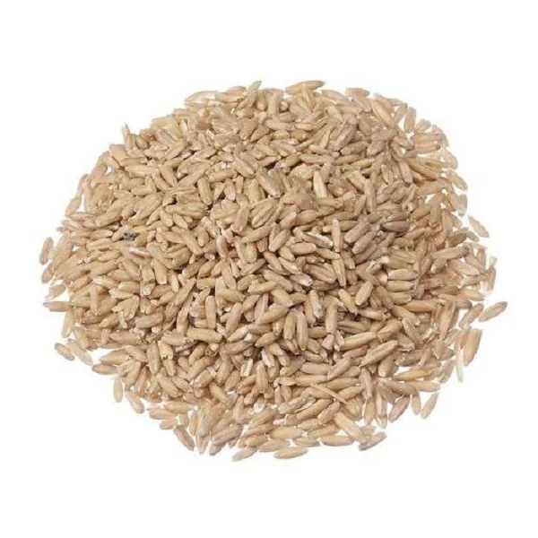 
Wholesale Oat Groats/Oat Grain/Oat Without Shell For Sale at low prices 
