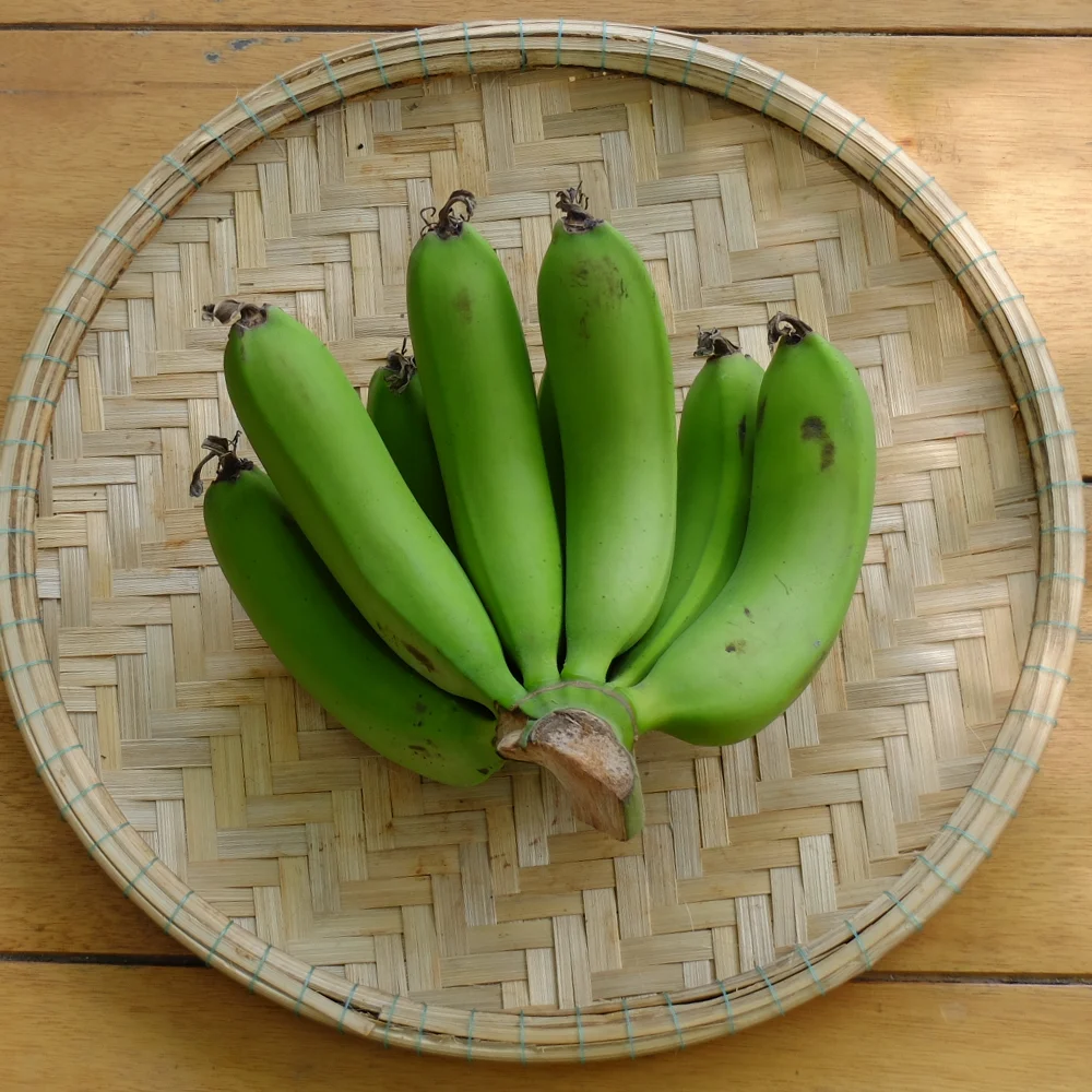 2021 Export High Quality Cavendish Banana