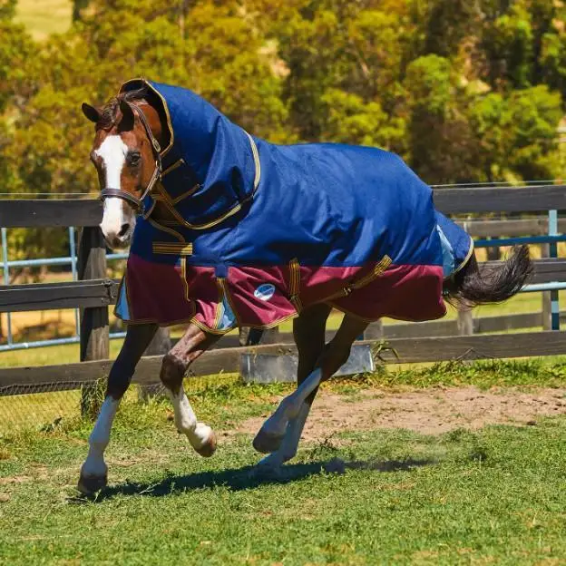 Wholesale high quality turnout horse summer rain sheets light weight horse rugs