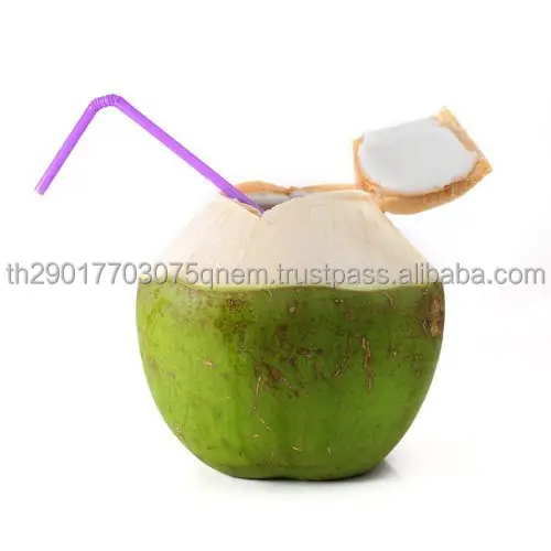 Premium Grade 100% Natural Coconut Young Coconut Fruit From Thailand