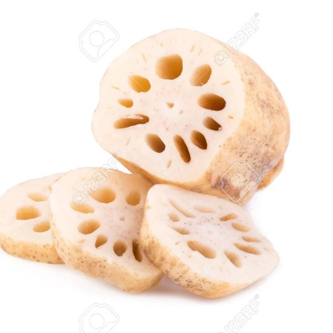 Viet Nam lotus root fresh frozen