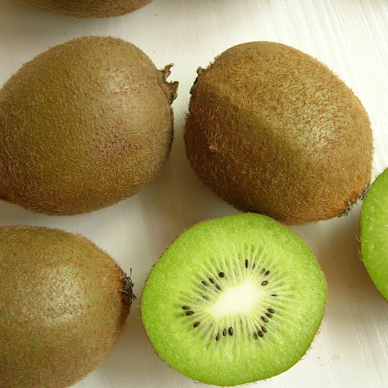 Quality Fresh Kiwi Fruits Organic
