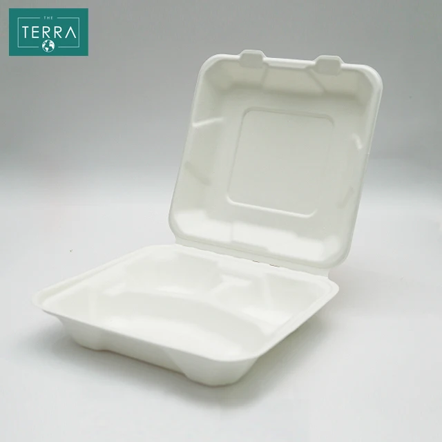 Vietnam 405*196*42.5 mm Biodegradable Packaging Food White Surgarcane Bagasse Pulp Molding 8 in clamshell