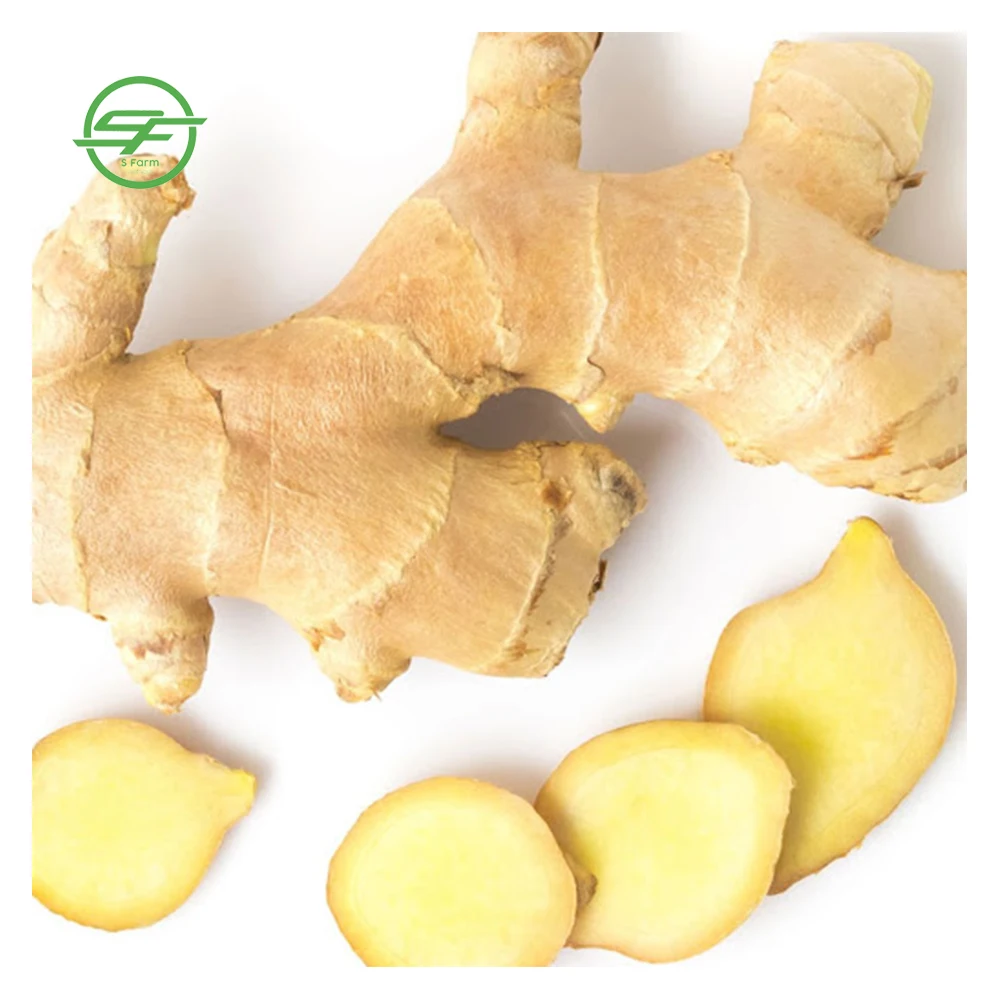 Bulk Fresh Ginger Suppliers Export Vietnam Ginger For Sale