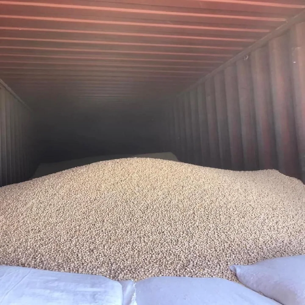 Оптовая продажа натуральный органический нут kabuli desi Лучшая цена от казахского производителя