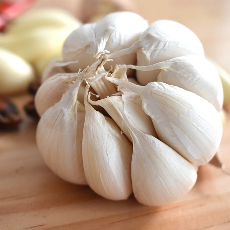 Wholesale Chinese new crop white fresh garlic price | New Arrival Fresh Garlic