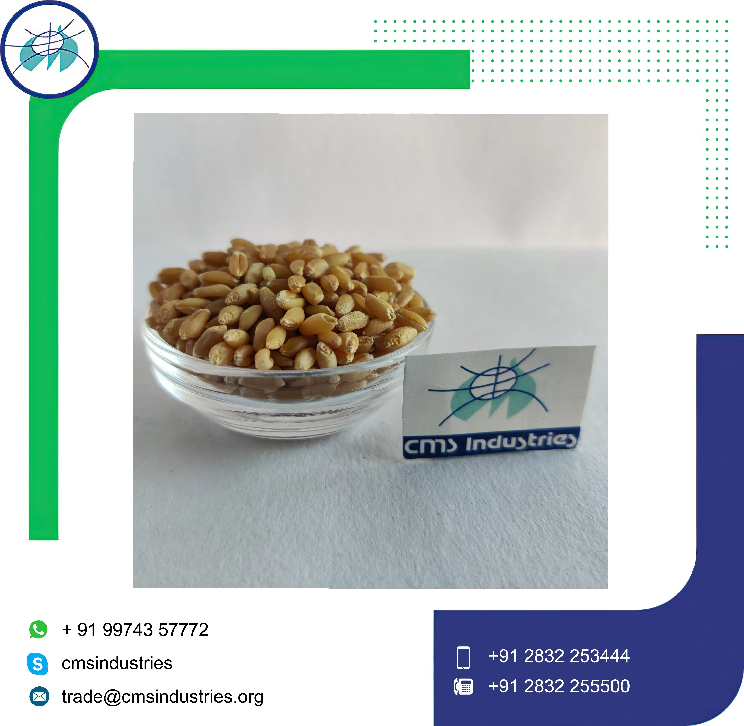 Великолепная Пшеница локвана