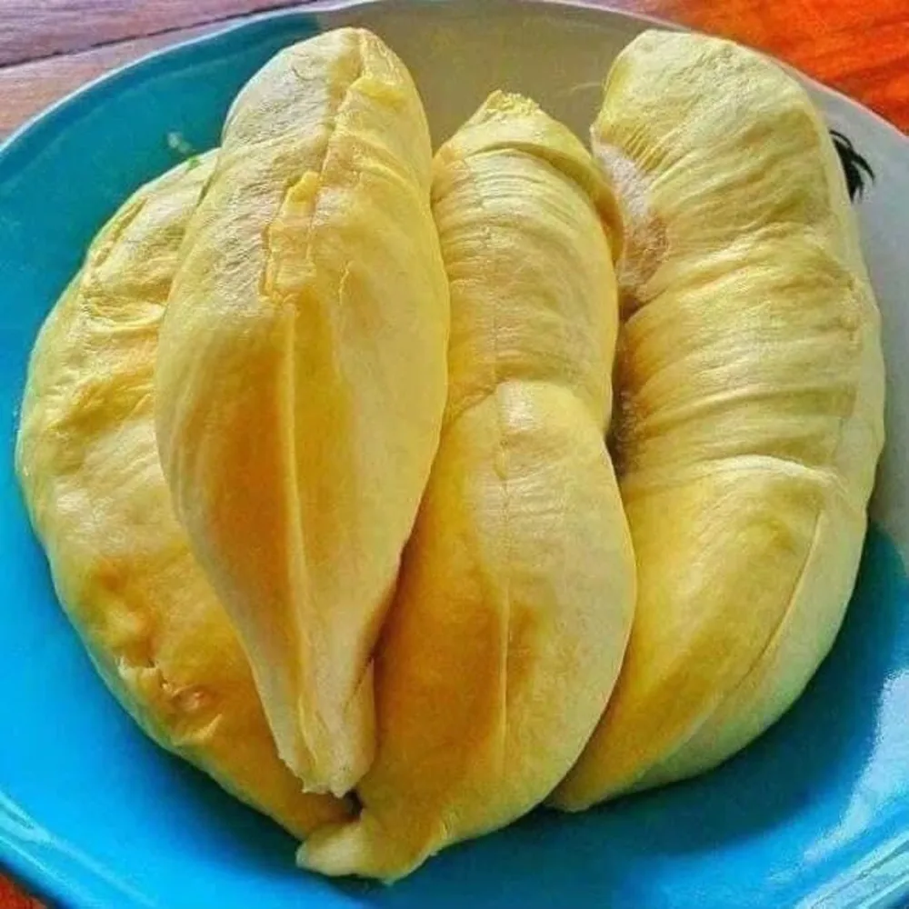 Durians Fresh Fruit with High Quality from Thailand