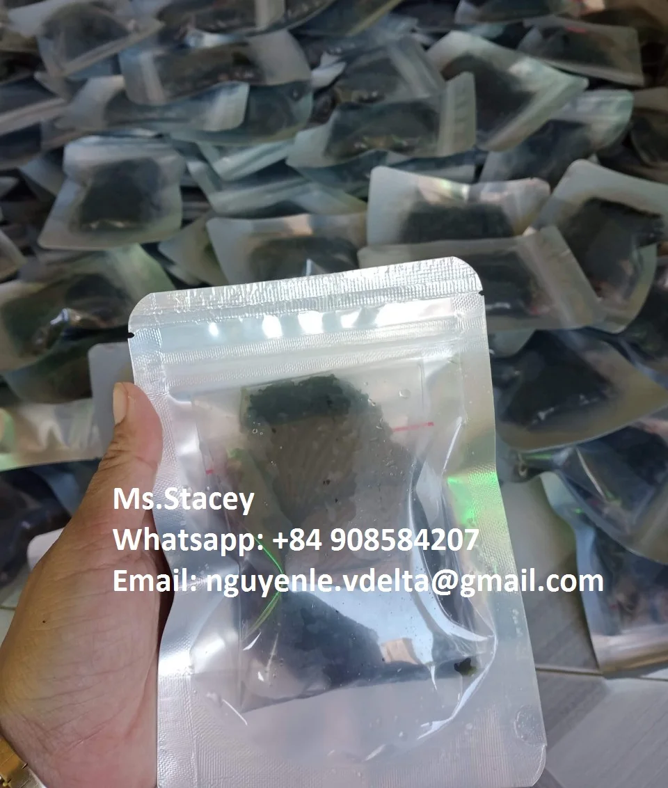 Lato Sea Grapes - Dehydrated Sea Grapes - Caulerpa lentillifera- Sea Grapes to Canada/US/UK market