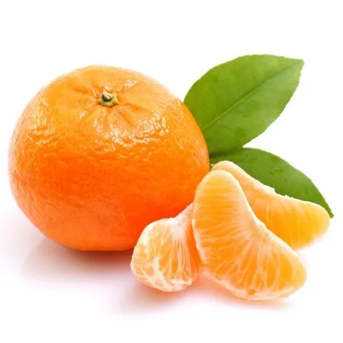 
Fresh Quality Valencia and Navel Fresh Orange 