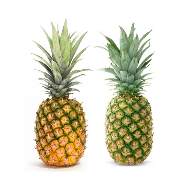 Suckers Cultivation Type Golden Juicy Sweet MD2 Fresh Pineapple with Aromatic Scent MD2 Pineapple Fruit Crop From Malaysia Farm