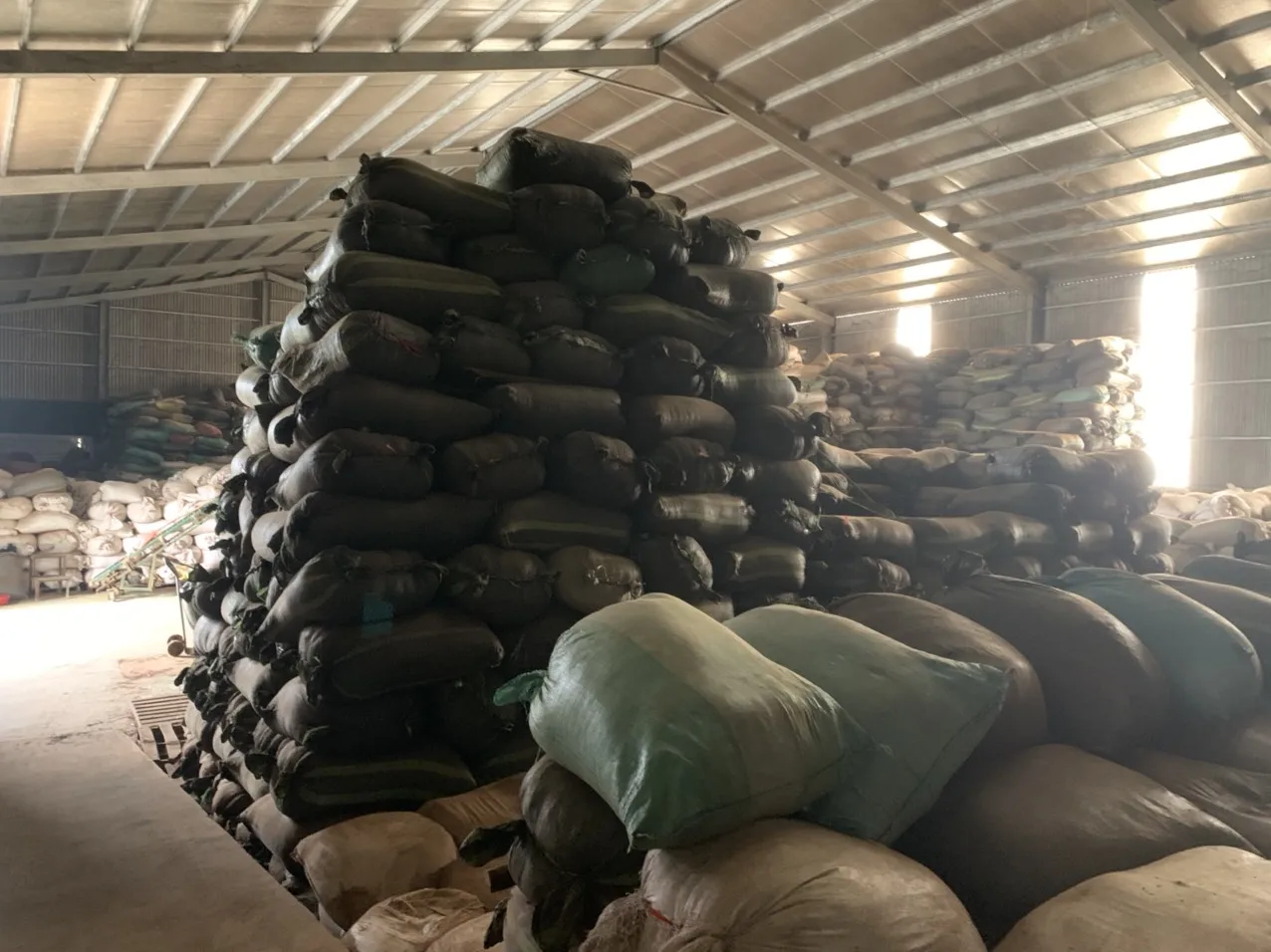 BLACK TEA -  GREEN TEA - VIETNAM TEA - WHATSAPP: +84 911406611