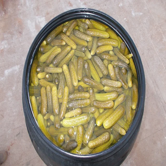 Naturally Pickled Fermented Cucumbers