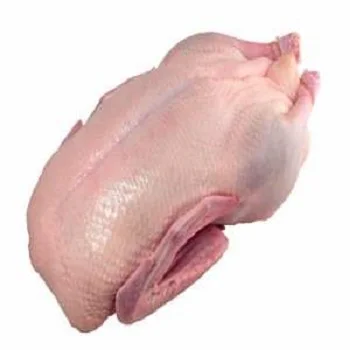 Wholesale Frozen Duck Meat