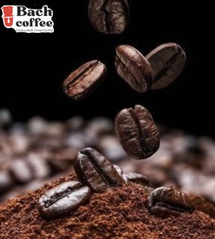 Кофе из цельных зерен. Изготовлены органических вьетнамских фасонов для гурманов высококачественные жареные кофейные зерна Робуста